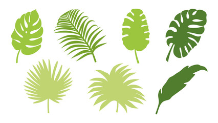 Set of colourful tropical palm leaves vector © Creative vector