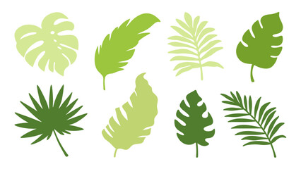 Set of colourful tropical palm leaves vector © Creative vector