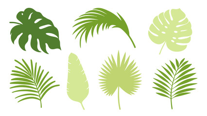 Set of colourful tropical palm leaves vector