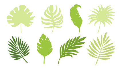 Set of colourful tropical palm leaves vector