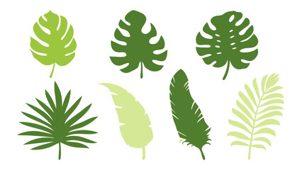 Set of colourful tropical palm leaves vector © Creative vector