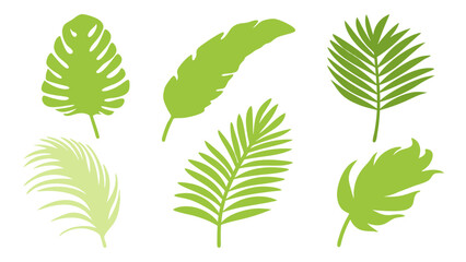 Set of colourful tropical palm leaves vector © Creative vector