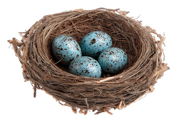 Obraz premium A bird's nest, meticulously crafted from twigs and other natural materials, cradles four speckled, pale blue eggs. The nest's rustic texture and the eggs' delicate markings are sharply in focus