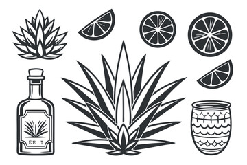 Tequila agave plant and citrus elements vector illustration in vintage style