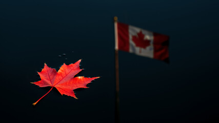 Red maple leaf and a Canadian flag on a dark reflective surface. Minimalist and contemplative national concept.