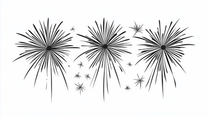 Fototapeta premium Elegant Black and White Fireworks Display for Celebrations and Festive Events