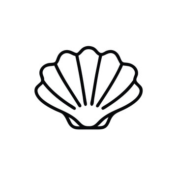 Simple line art seashell ocean beach summer icon