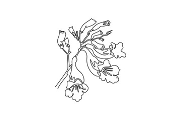 Floral with branch concept. Single line draw design. Vector graphic illustration