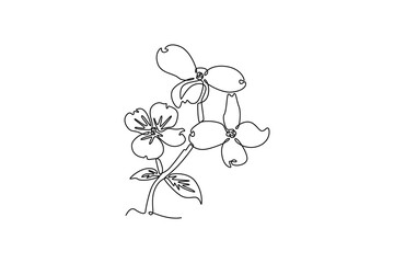 Floral with branch concept. Single line draw design. Vector graphic illustration