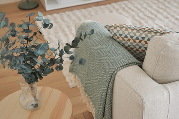 Cozy living room with minimalist decor and greenery