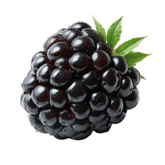 A close-up shot of a fresh, ripe blackberry with green leaves