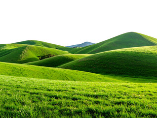 Grassy Hill Landscape with Clear Meadow View 