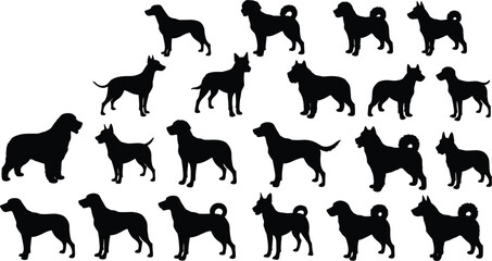 Dog breed silhouette vector illustration, standing and walking dog icons, black pet animal shapes, canine outline collection, cartoon graphic style