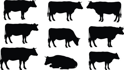 Cow silhouette vector set, black farm animal illustrations, standing and sitting cow poses, livestock shapes, rural agriculture design, minimal icon pack