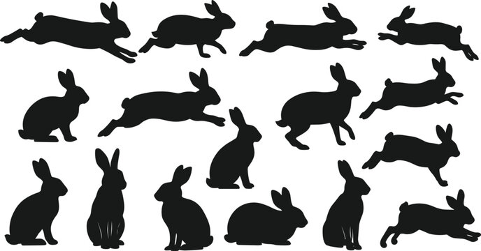 Jumping Rbbit Template Jumping Rabbit Images – Browse 76,716 Stock Photos, Vectors, and Video ...