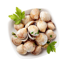 A top-down view of raw clams in a white square bowl garnished with parsley