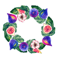Fig watercolor wreath isolated on white. Tropical plant fig. Watercolor botanical fig Illustration for design cards, invitations and branding