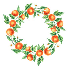 Mandarin watercolor frame isolated on white. Watercolor botanical citrus frame. Illustration for cards, invitations and branding design