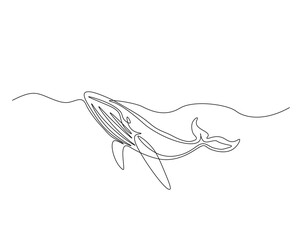 Obraz premium Humpback in the ocean outline drawing illustration. one continuous line drawing of humpback whale.