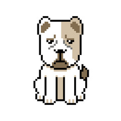 Pixel art a dog vector in retro style