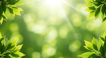 Obraz premium Vibrant Green Leaves Basking in Sunlight A Fresh Spring Nature Photography