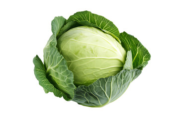 Fototapeta premium Raw cabbage isolated on white. Green cabbage