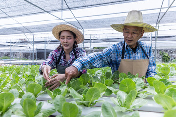 A young woman and senior man work together tending lettuce in a hydroponic greenhouse. Wearing straw hats and aprons, they carefully inspect the plants in a modern, sustainable farming setup.