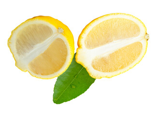 Front view of ripe yellow lemon fruit or slices in two ellipse or oval halves with green leaf...