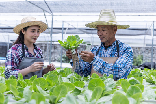A senior farmer checks the pH level of a hydroponic lettuce plant using a test tube while a young woman looks on. They ensure optimal water quality in a modern greenhouse environment.