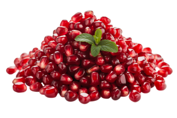 Pomegranate seeds  isolated