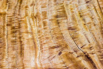 wood texture background,Beautiful nature background texture concept