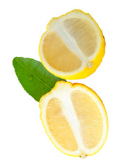 Front view of ripe yellow lemon fruit or slices in two ellipse or oval halves with green leaf...