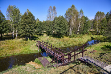 Serene Forest Lake with Wooden Bridge Reflection