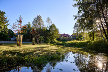 Serene Riverbank Scene with Lush Greenery