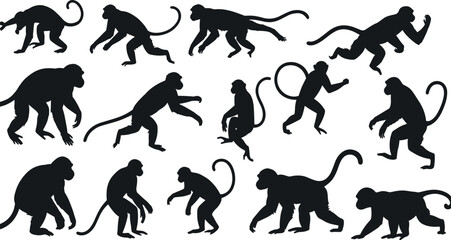 Monkey silhouette vector illustration, wild animal clipart set, jungle monkey poses, black primate shapes collection, editable tropical wildlife design element for zoo, safari, or nature theme.