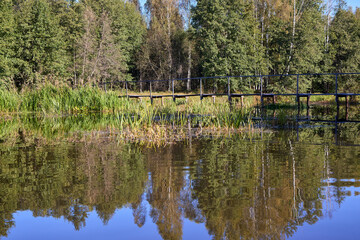 Serene Forest Lake with Wooden Bridge Reflection