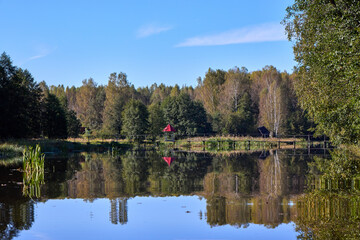 Serene Forest Lake with Wooden Bridge Reflection