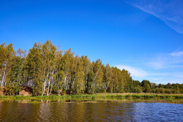 Serene Riverbank Scene with Lush Greenery
