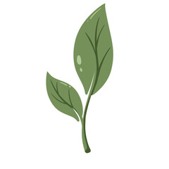 botanical