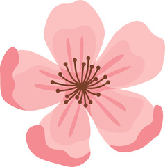 Sakura Flower

