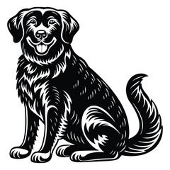 vector set of dog