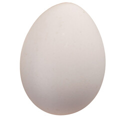 Single White Duck Egg