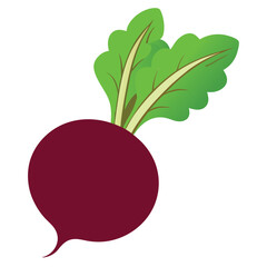 beetroot illustration isolated on white background with fresh and healthy look