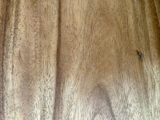 Wooden background and texture. Wood texture