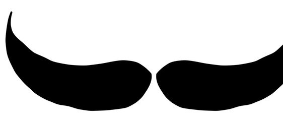 Moustache trendy styles. Mustache curly horseshoe imperial pencil english pyramid italian and vintage narrow french walrus brush male hipster modern fashion. Chevron vector.