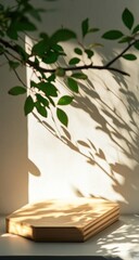 Light-drenched display podium, natural shadows, and foliage