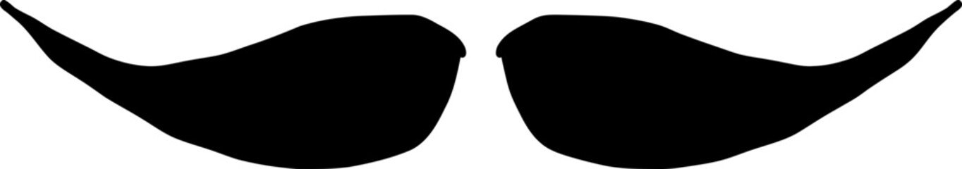 Moustache trendy styles. Mustache curly horseshoe imperial pencil english pyramid italian and vintage narrow french walrus brush male hipster modern fashion. Chevron vector.