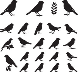 Set of Silhouette Birds graphic vector