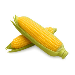 Raw Corn on the Cob with Husk Isolated on White – Yellow Maize Vegetable PNG