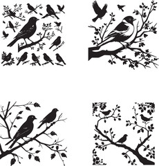 Set of birds vector silhouettes on white background 